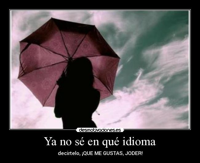 Ya no sé en qué idioma - 