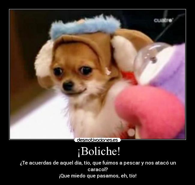 ¡Boliche! - 