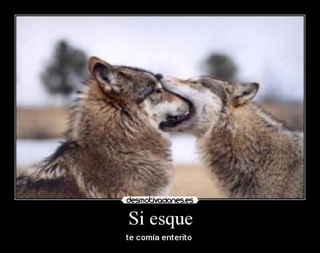 Si esque - te comía enterito 