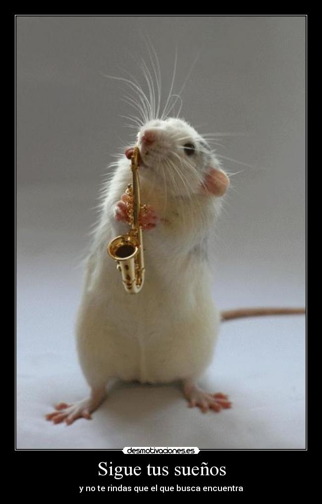 Sigue tus sueños - y no te rindas que el que busca encuentra