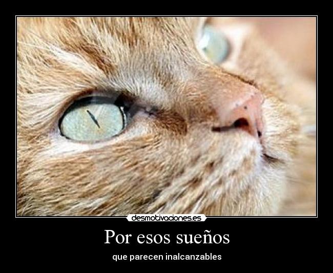 Por esos sueños - 
