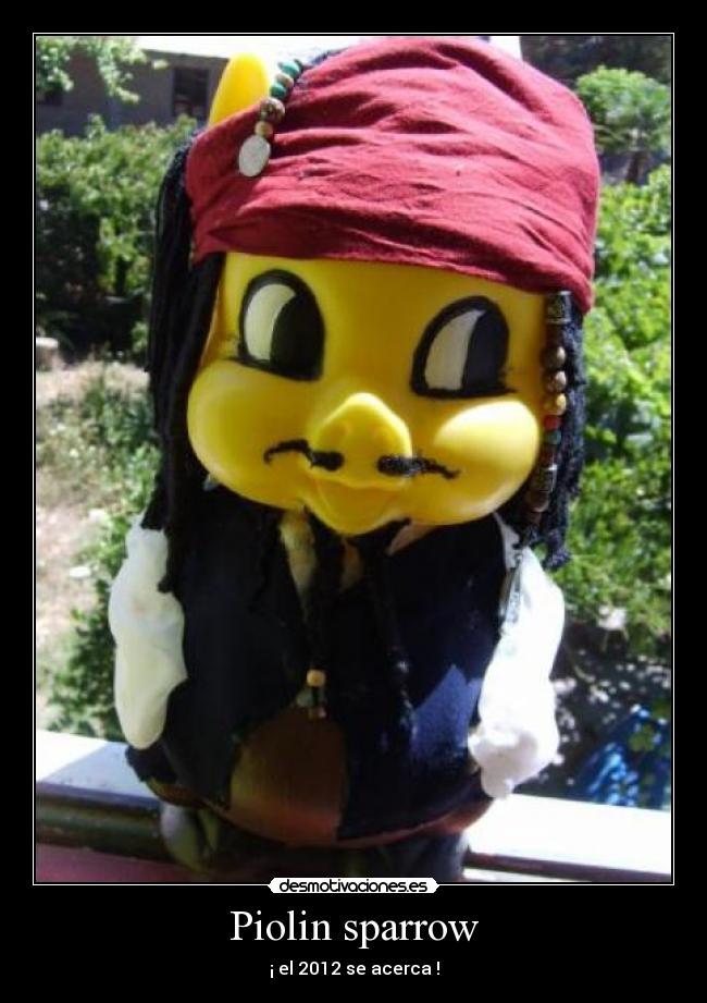 Piolin sparrow - ¡ el 2012 se acerca !