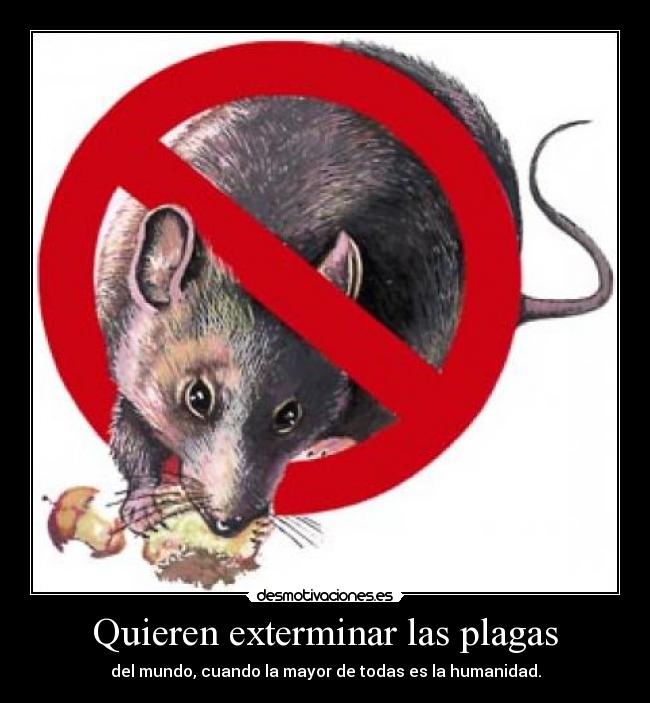 Quieren exterminar las plagas - 