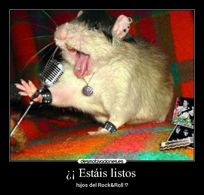 ¿¡ Estáis listos - hijos del Rock&Roll !?