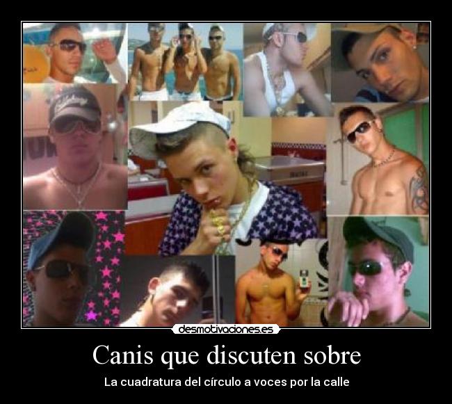 Canis que discuten sobre - 