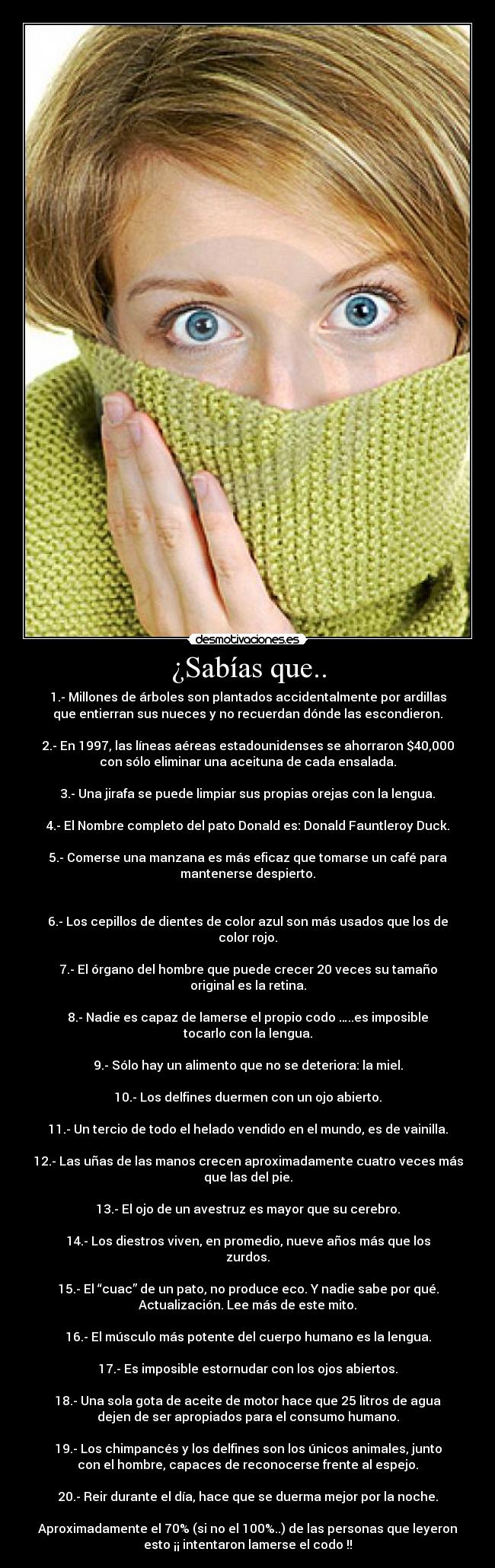 ¿Sabías que.. - 1.- Millones de árboles son plantados accidentalmente por ardillas
que entierran sus nueces y no recuerdan dónde las escondieron.
2.- En 1997, las líneas aéreas estadounidenses se ahorraron $40,000
con sólo eliminar una aceituna de cada ensalada.
3.- Una jirafa se puede limpiar sus propias orejas con la lengua.
4.- El Nombre completo del pato Donald es: Donald Fauntleroy Duck.
5.- Comerse una manzana es más eficaz que tomarse un café para
mantenerse despierto.
6.- Los cepillos de dientes de color azul son más usados que los de
color rojo.
7.- El órgano del hombre que puede crecer 20 veces su tamaño
original es la retina.
8.- Nadie es capaz de lamerse el propio codo …..es imposible
tocarlo con la lengua.
9.- Sólo hay un alimento que no se deteriora: la miel.
10.- Los delfines duermen con un ojo abierto.
11.- Un tercio de todo el helado vendido en el mundo, es de vainilla.
12.- Las uñas de las manos crecen aproximadamente cuatro veces más
que las del pie.
13.- El ojo de un avestruz es mayor que su cerebro.
14.- Los diestros viven, en promedio, nueve años más que los
zurdos.
15.- El “cuac” de un pato, no produce eco. Y nadie sabe por qué.
Actualización. Lee más de este mito.
16.- El músculo más potente del cuerpo humano es la lengua.
17.- Es imposible estornudar con los ojos abiertos.
18.- Una sola gota de aceite de motor hace que 25 litros de agua
dejen de ser apropiados para el consumo humano.
19.- Los chimpancés y los delfines son los únicos animales, junto
con el hombre, capaces de reconocerse frente al espejo.
20.- Reir durante el día, hace que se duerma mejor por la noche.
Aproximadamente el 70% (si no el 100%..) de las personas que leyeron
esto ¡¡ intentaron lamerse el codo !!