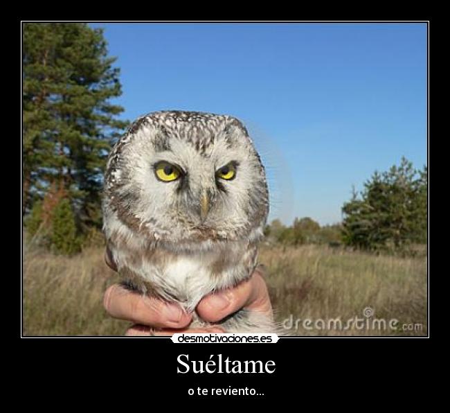 Suéltame -