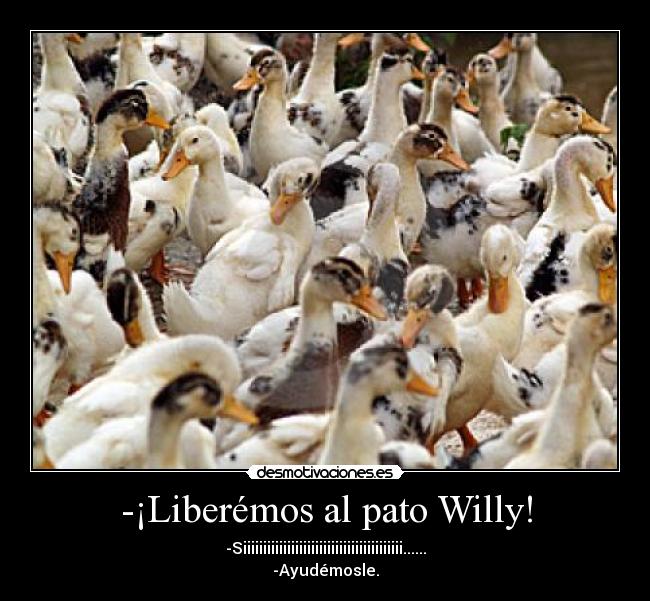 -¡Liberémos al pato Willy! - 