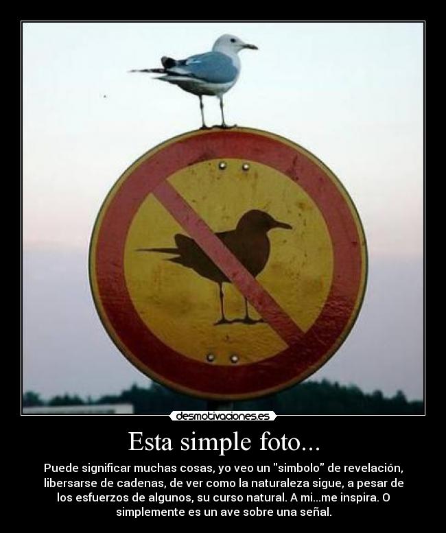 Esta simple foto... - Puede significar muchas cosas, yo veo un simbolo de revelación,
libersarse de cadenas, de ver como la naturaleza sigue, a pesar de
los esfuerzos de algunos, su curso natural. A mi...me inspira. O
simplemente es un ave sobre una señal.
