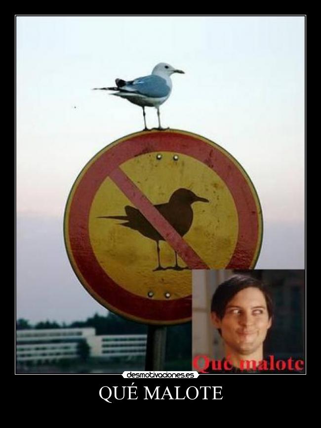 carteles malote pajaro faek desmotivaciones