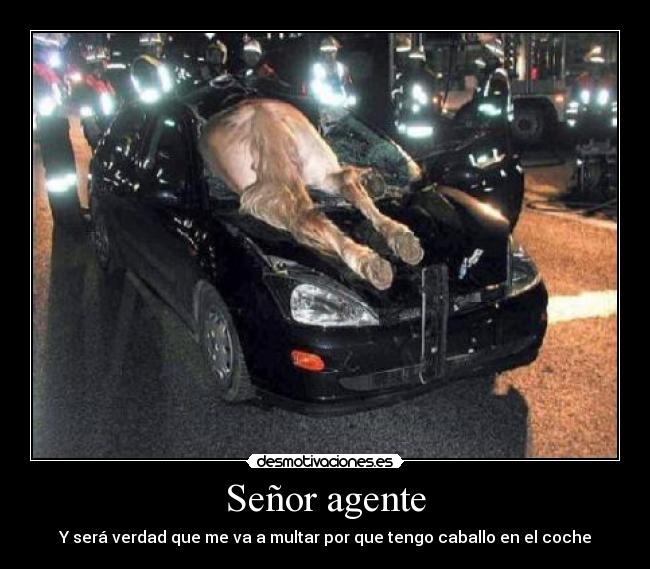 Señor agente - Y será verdad que me va a multar por que tengo caballo en el coche