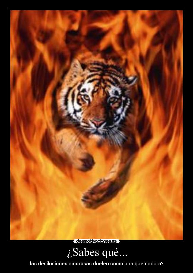 ¿Sabes qué... - las desilusiones amorosas duelen como una quemadura?