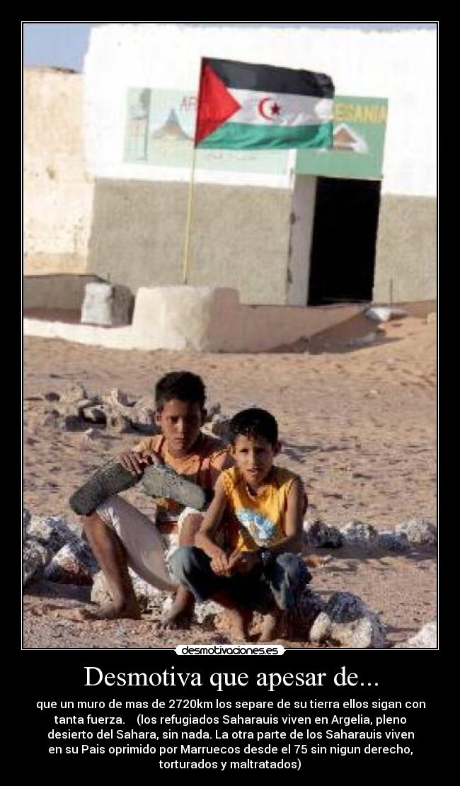 carteles lamai desmotivaciones