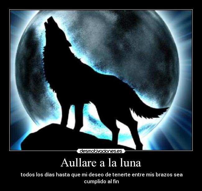 Aullare a la luna - todos los días hasta que mi deseo de tenerte entre mis brazos sea cumplido al fin