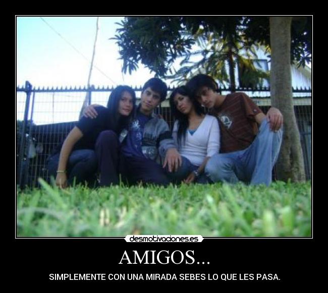 AMIGOS... -