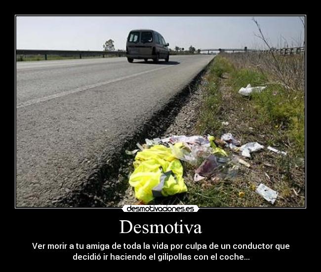 Desmotiva - Ver morir a tu amiga de toda la vida por culpa de un conductor que
decidió ir haciendo el gilipollas con el coche...