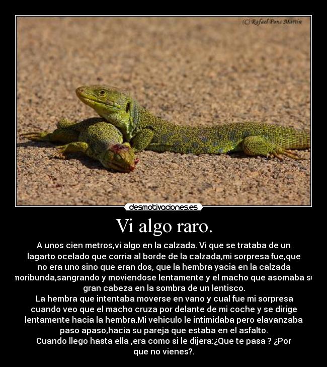 carteles  desmotivaciones