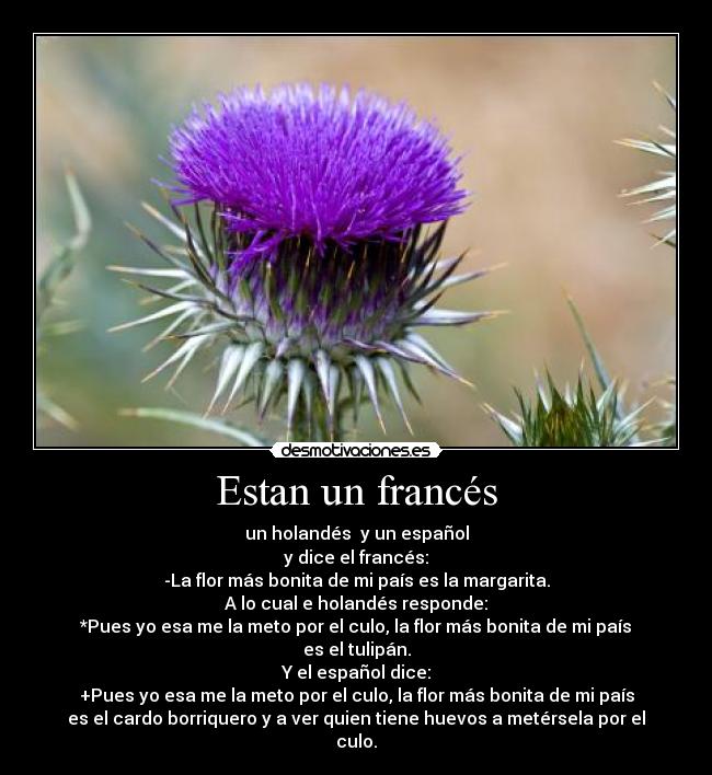 Estan un francés - 