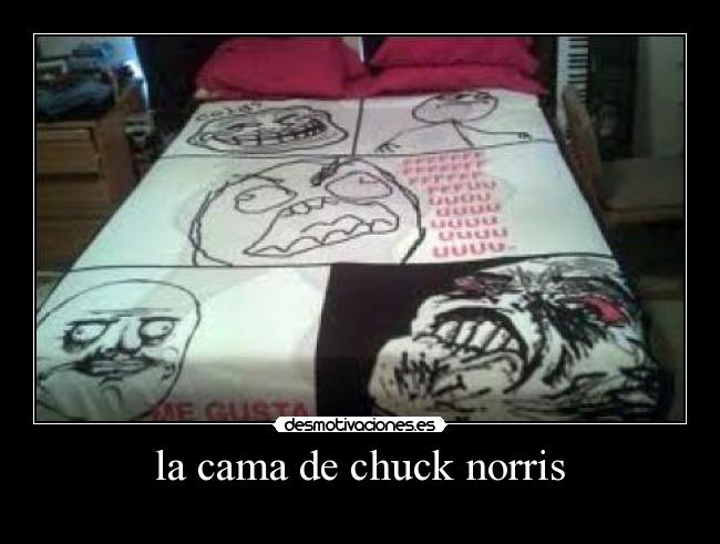 la cama de chuck norris - 