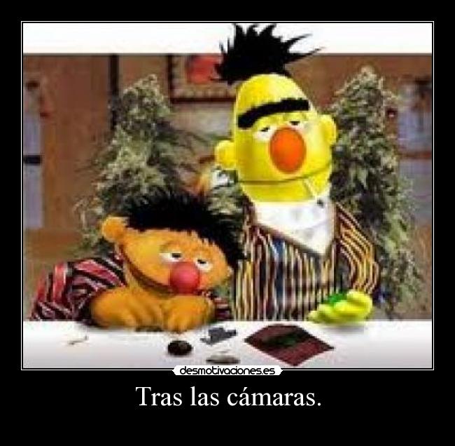 Tras las cámaras. -