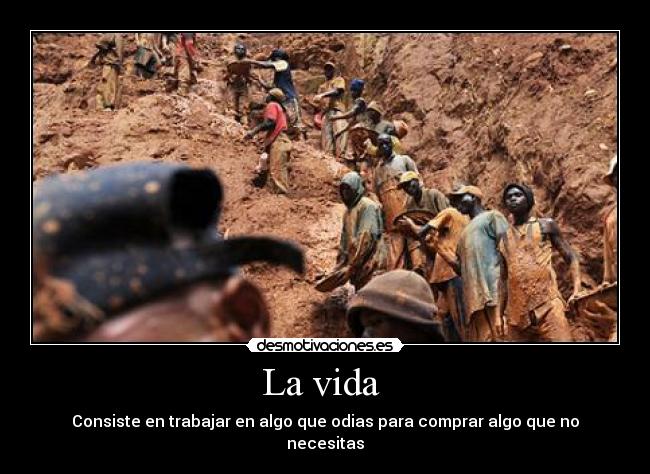 carteles vida vida consumo desmotivaciones