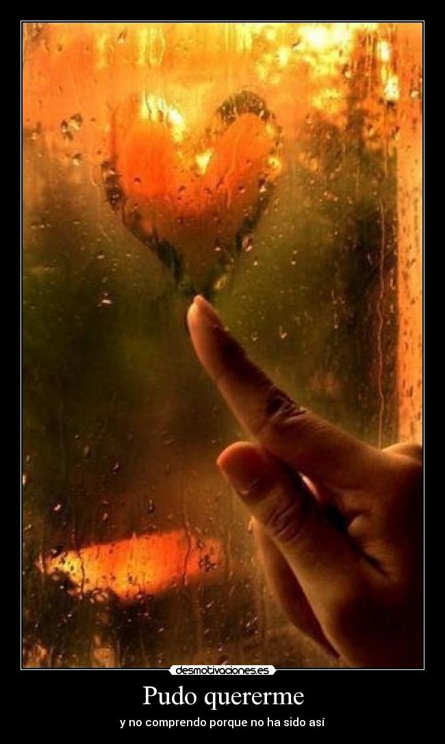 Pudo quererme - 