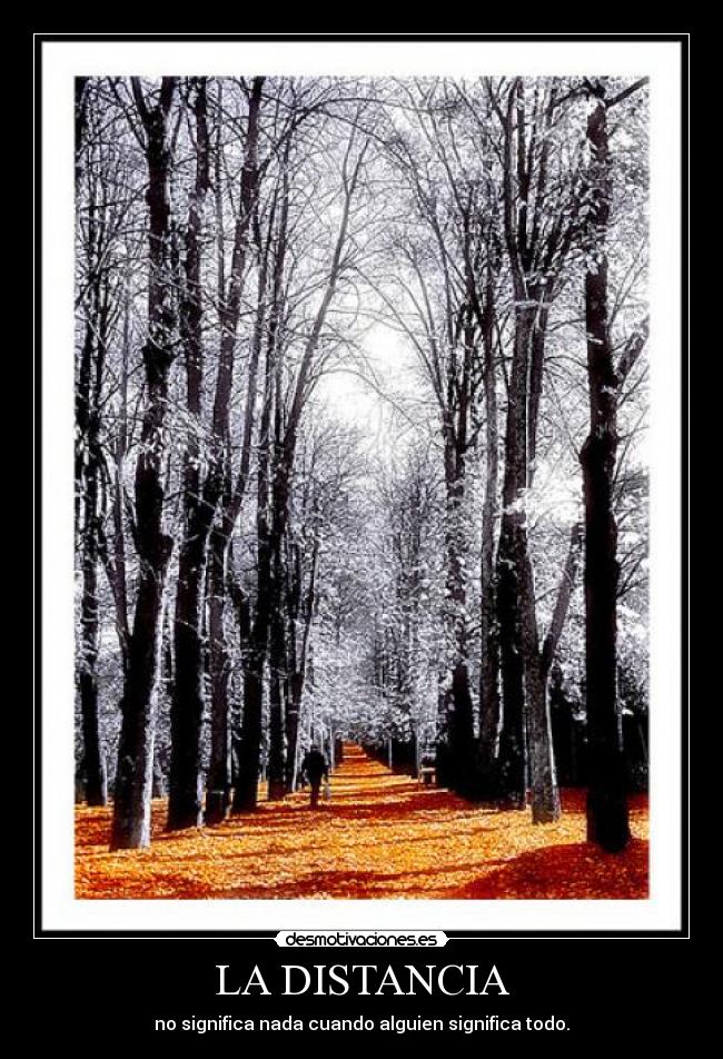 LA DISTANCIA - no significa nada cuando alguien significa todo.