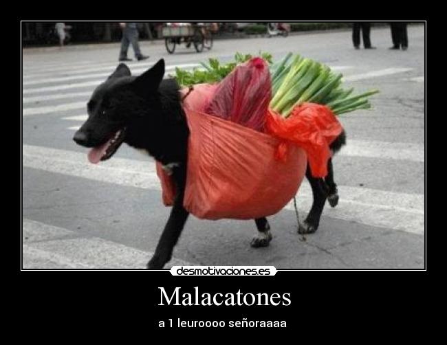 Malacatones -