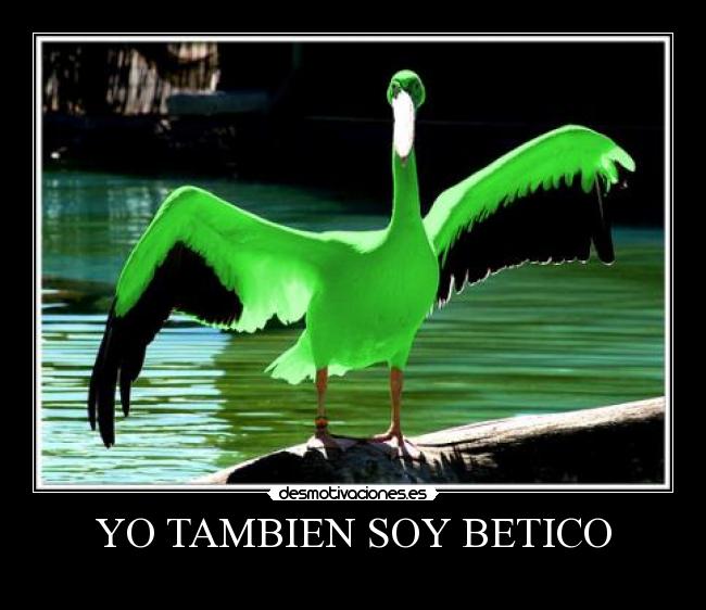 YO TAMBIEN SOY BETICO -