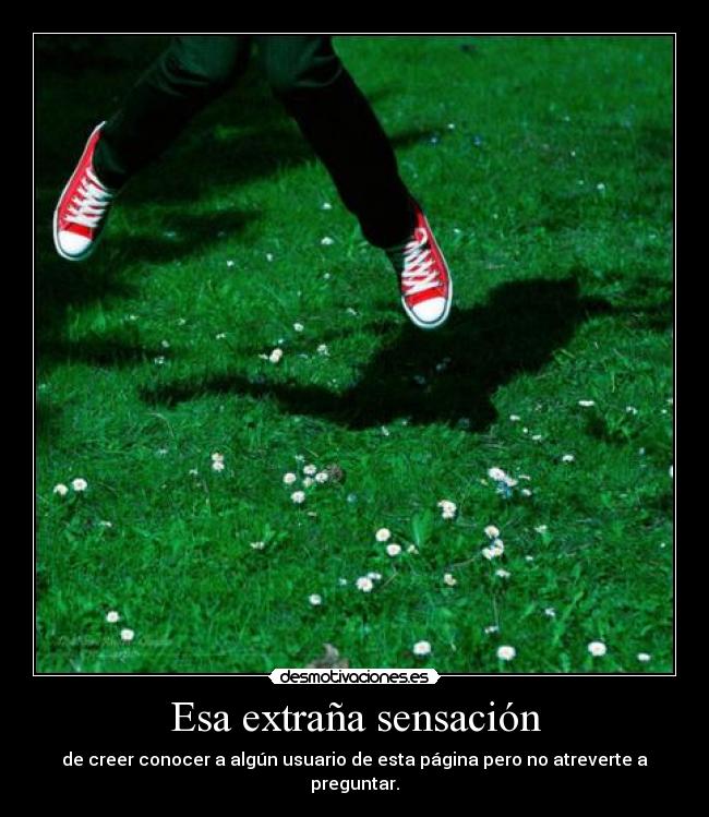 Esa extraña sensación - 