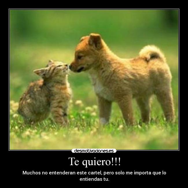 Te quiero!!! - 