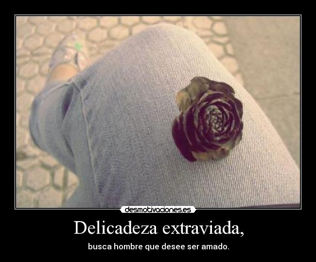 Delicadeza extraviada, -