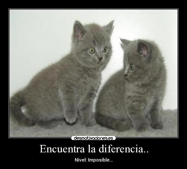 Encuentra la diferencia.. - Nivel: Imposible...