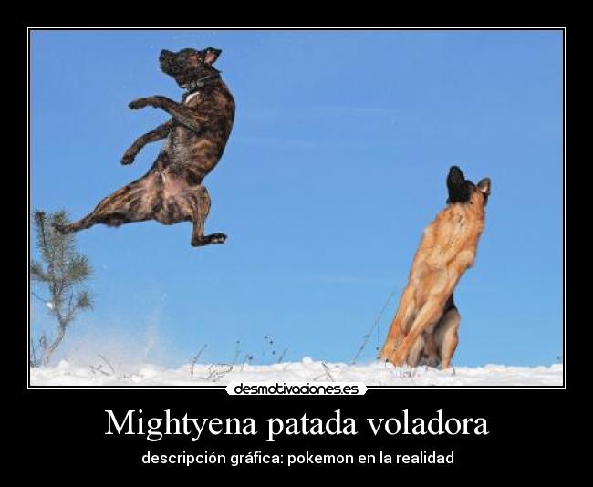 Mightyena patada voladora - 