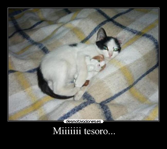 carteles gracia desmotivaciones