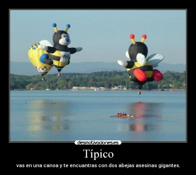 Típico - vas en una canoa y te encuantras con dos abejas asesinas gigantes.