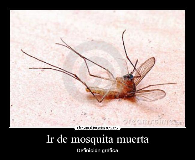 Ir de mosquita muerta -