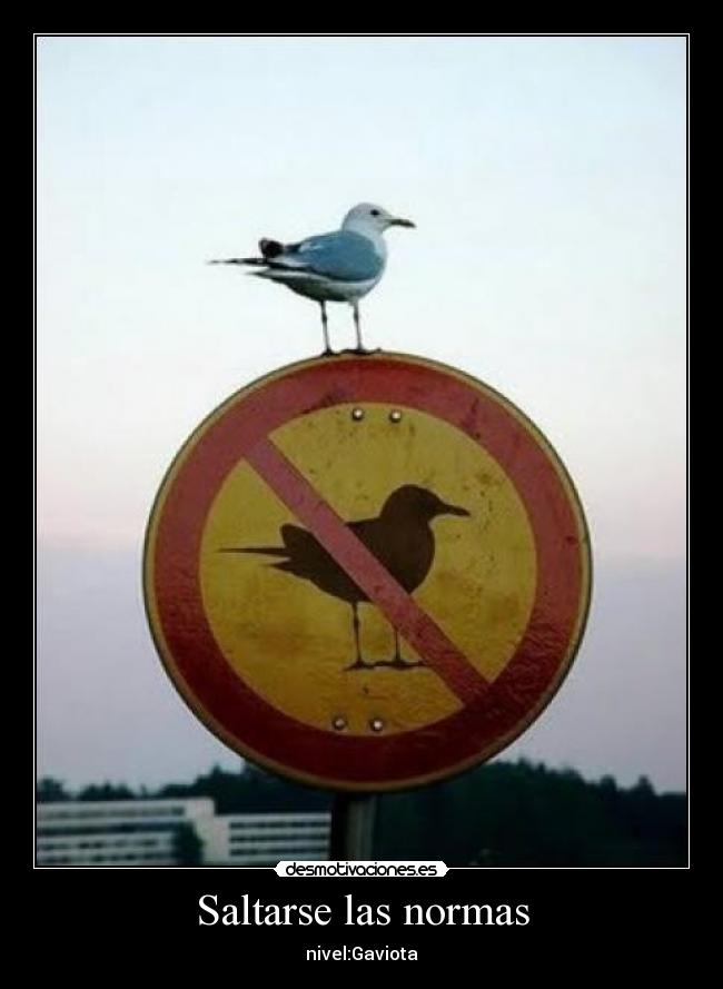 Saltarse las normas - 
