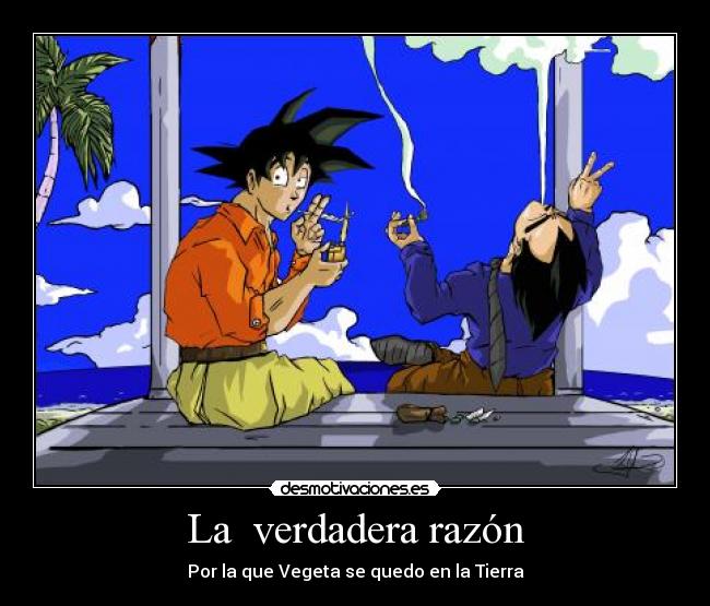 La verdadera razón -