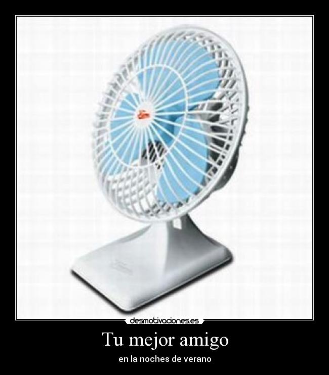 carteles mejor amigo desmotivaciones