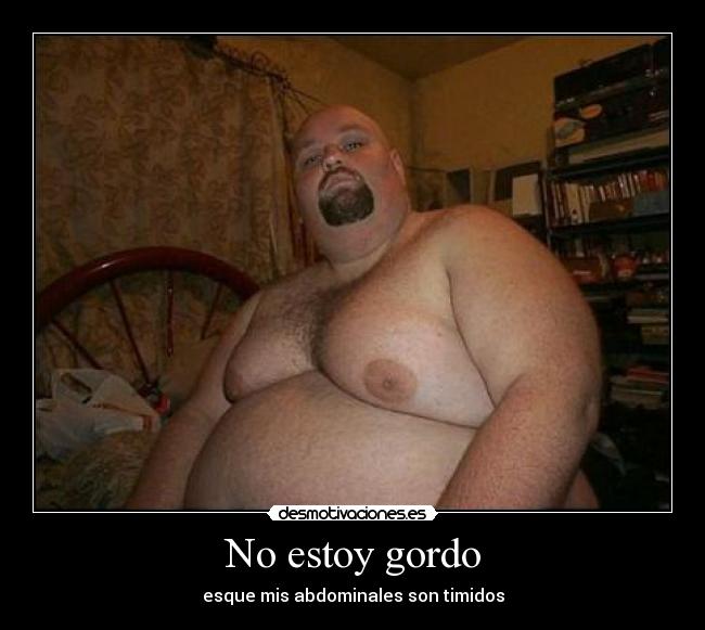 No estoy gordo - 
