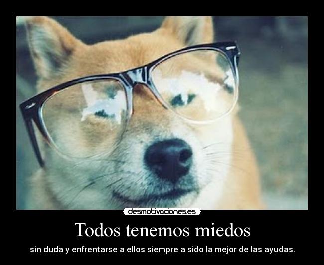 Todos tenemos miedos - 