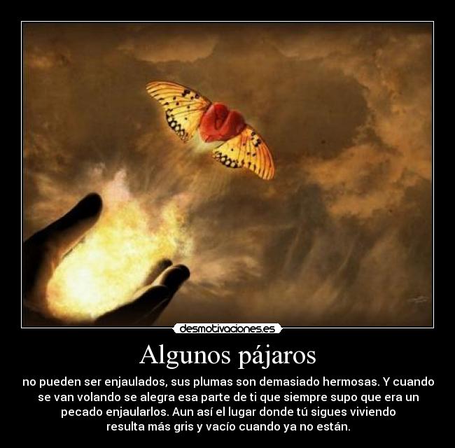 Algunos pájaros - no pueden ser enjaulados, sus plumas son demasiado hermosas. Y cuando
se van volando se alegra esa parte de ti que siempre supo que era un
pecado enjaularlos. Aun así el lugar donde tú sigues viviendo
resulta más gris y vacío cuando ya no están.