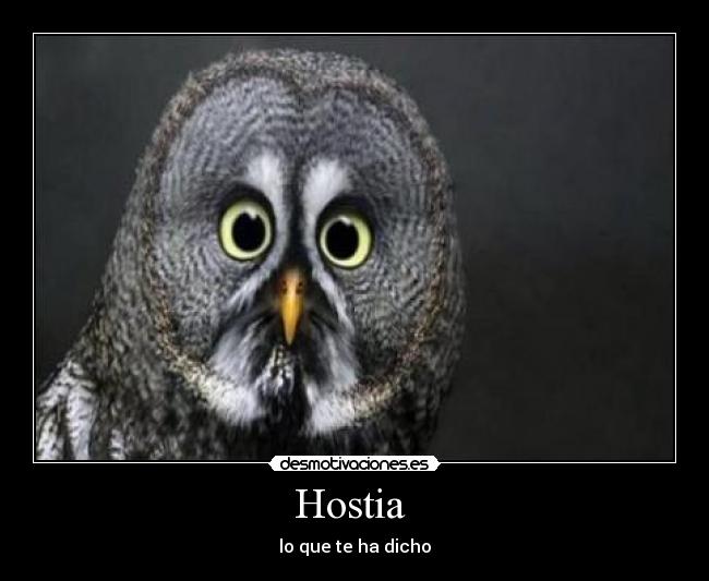 Hostia  - lo que te ha dicho