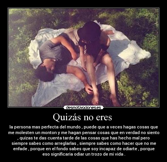 Quizás no eres -