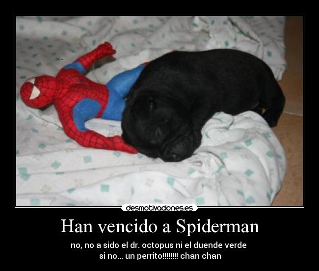 Han vencido a Spiderman - 