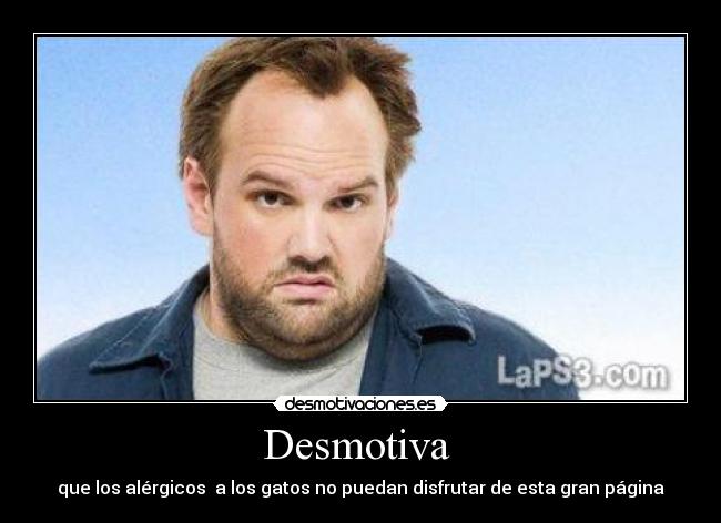 Desmotiva  -  que los alérgicos  a los gatos no puedan disfrutar de esta gran página 