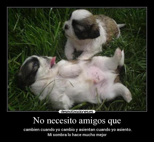 No necesito amigos que -