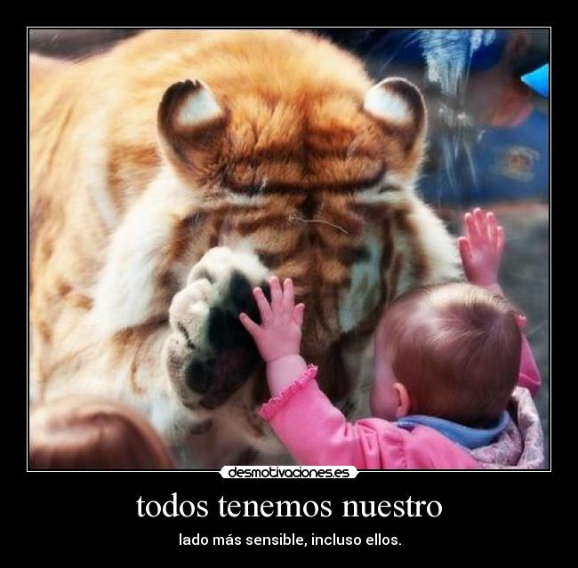 todos tenemos nuestro - lado más sensible, incluso ellos.