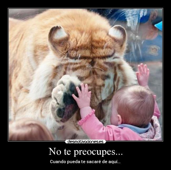 No te preocupes... - Cuando pueda te sacaré de aquí...